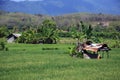 Bali Rice Fields in Bali, Indonesia